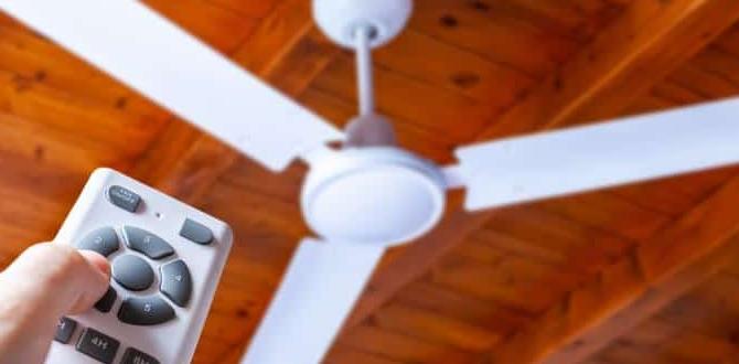 should ceiling fans be left on all the time should ceiling fans be left on all the time