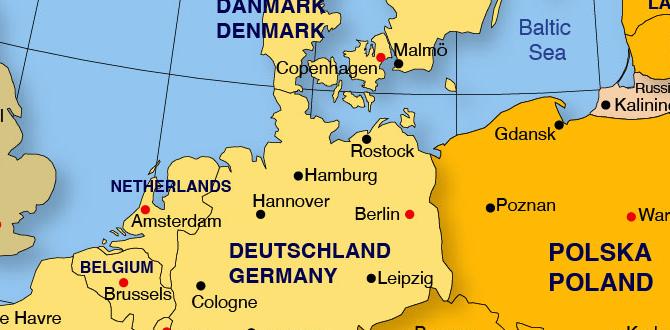 what is a european lamp shade base what is a european lamp shade base