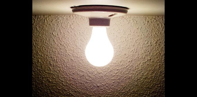 what is a keyless light fixture what is a keyless light fixture