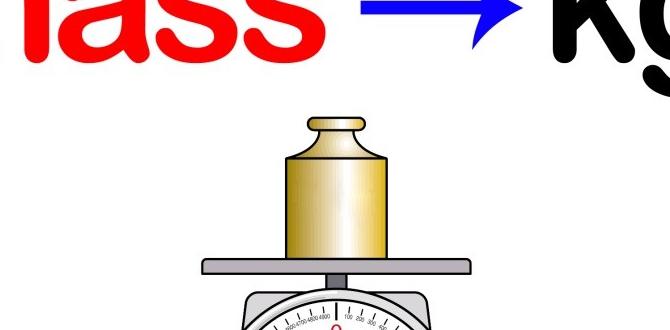 what is the mass to light ratio of the solar system what is the mass to light ratio of the solar system