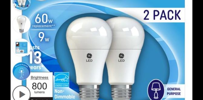 what watt light bulb for ceiling fan what watt light bulb for ceiling fan