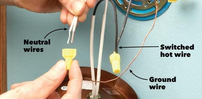 where to attach ground wire on light fixture