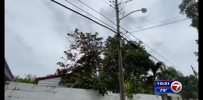 who pays for street lights who pays for street lights