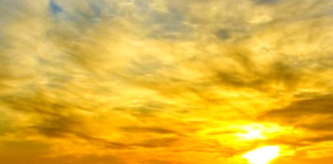 will dusk to dawn light bulbs work in any fixture will dusk to dawn light bulbs work in any fixture