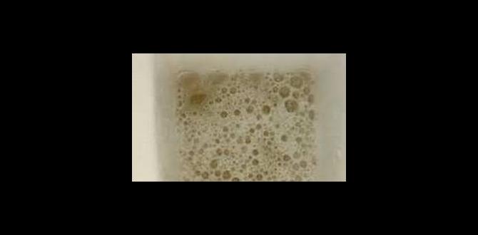 does alcohol cause foamy urine does alcohol cause foamy urine