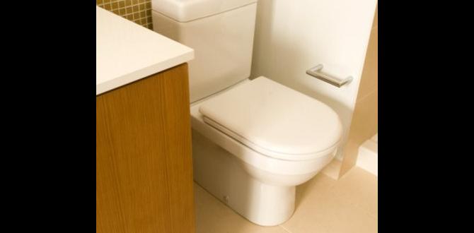 how many flushes to empty toilet tank how many flushes to empty toilet tank
