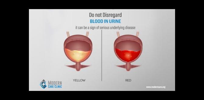 how much blood in urine is too much