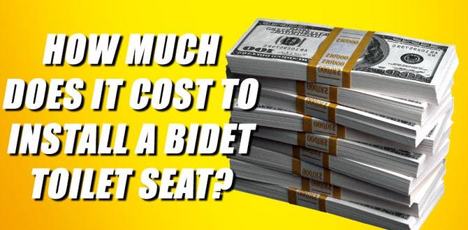 how much does bidet cost