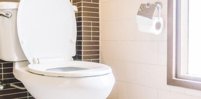 how much does it cost to replace a toilet how much does it cost to replace a toilet