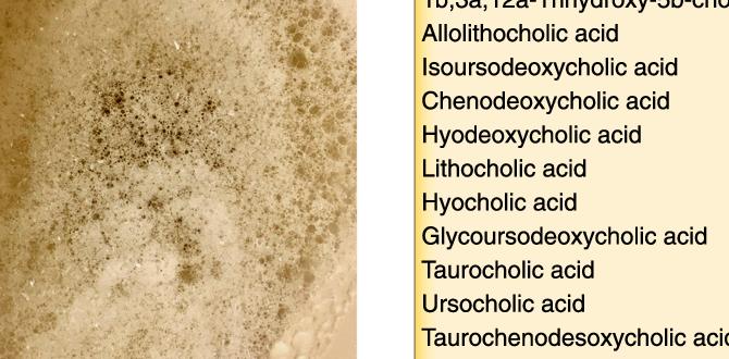 how much foam in urine is normal how much foam in urine is normal