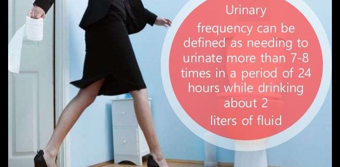 how often should you urinate how often should you urinate