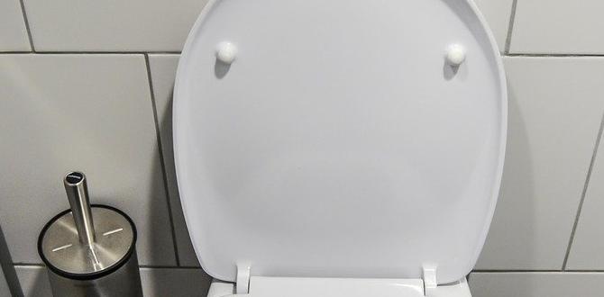 how to empty a toilet how to empty a toilet