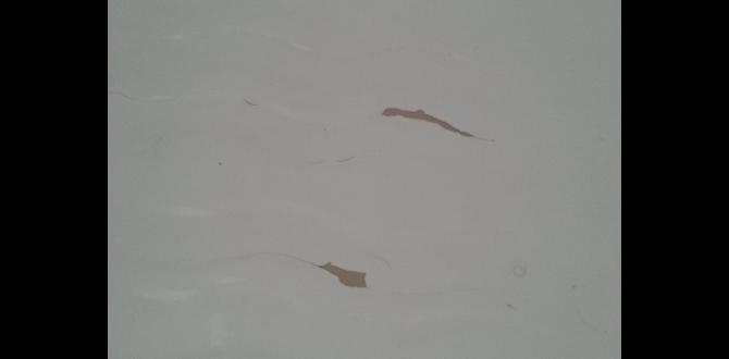 how to fix a crack in bathtub how to fix a crack in bathtub