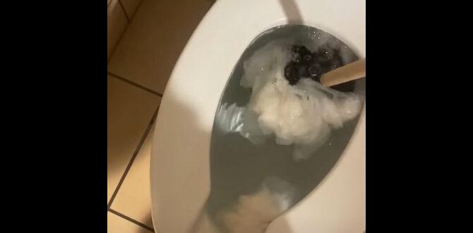 how to fix a stuffed toilet how to fix a stuffed toilet