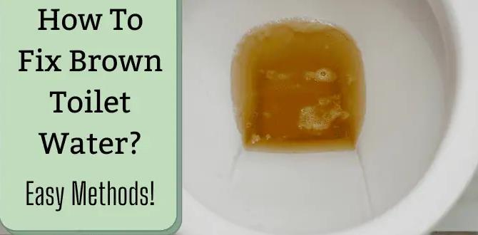 how to fix black toilet water how to fix black toilet water
