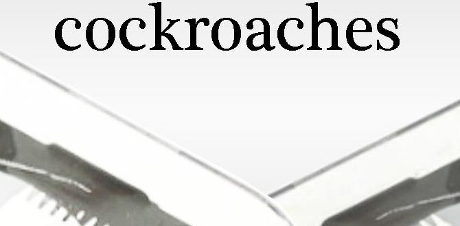 how to get rid of roaches in sink drain how to get rid of roaches in sink drain