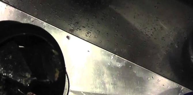 how to get rid of smell in kitchen sink how to get rid of smell in kitchen sink