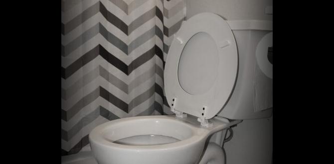 how to get rid of urine smell how to get rid of urine smell