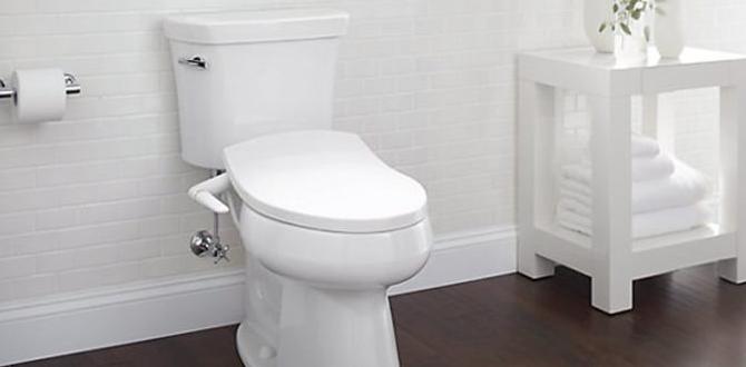how to install a bidet how to install a bidet