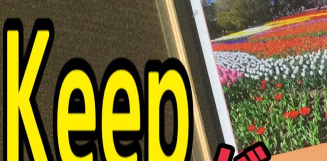 how to keep cats from urinating on rugs how to keep cats from urinating on rugs