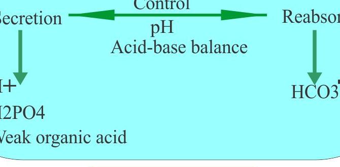 how to lower urine ph