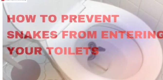 how to prevent snakes in toilets how to prevent snakes in toilets
