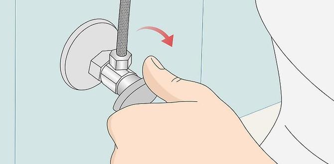 how to replace toilet flapper without tools how to replace toilet flapper without tools