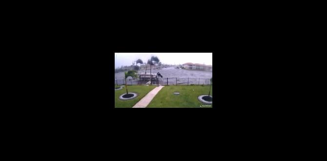 is cape coral sinking is cape coral sinking