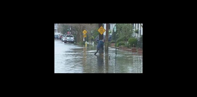 is charleston sinking is charleston sinking