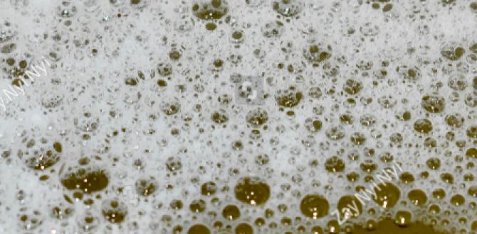 is frothy urine normal is frothy urine normal