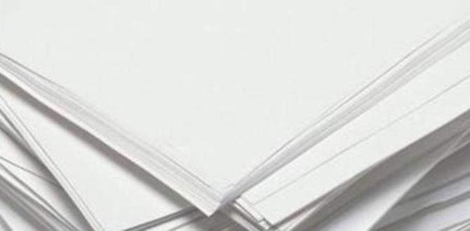 paper towel holder for rv paper towel holder for rv
