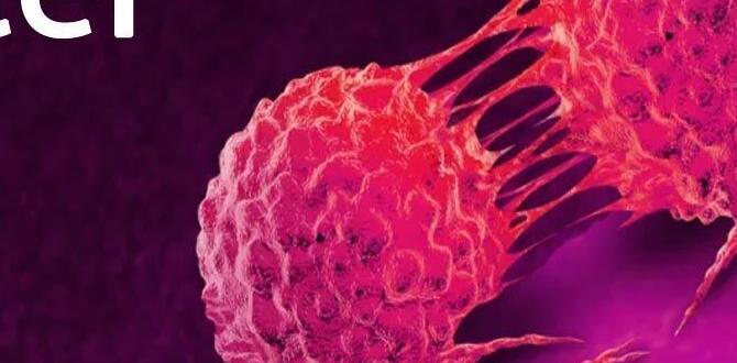 what cancers cause blood in urine what cancers cause blood in urine