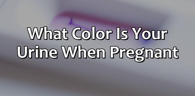 what color is your urine when pregnant what color is your urine when pregnant