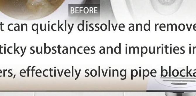 what dissolves toilet blockage what dissolves toilet blockage