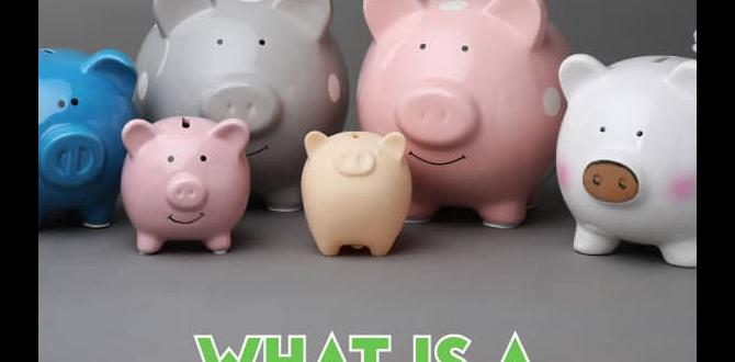 what is a sinking fund
