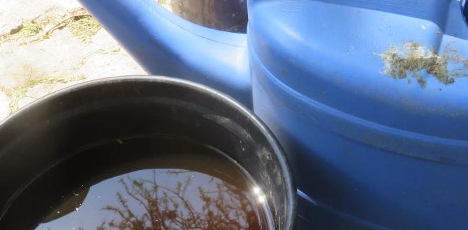 what is dilute urine what is dilute urine