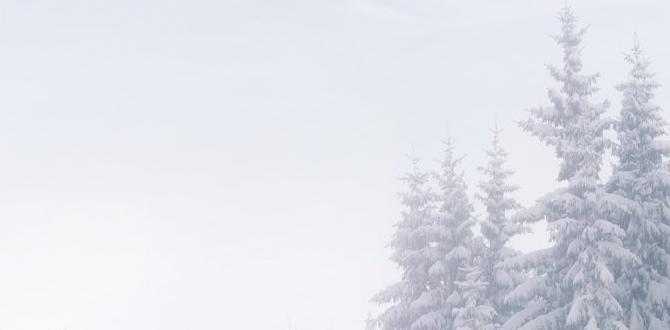 what is snow showers what is snow showers