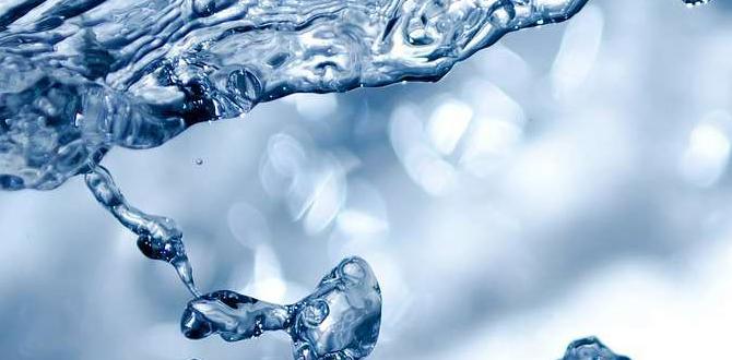 what is water softener regeneration what is water softener regeneration