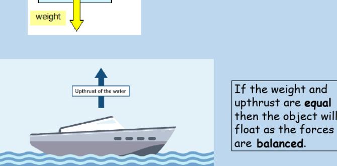 what makes things float or sink what makes things float or sink
