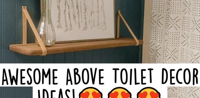 what to put above toilet what to put above toilet