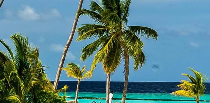when will maldives sink