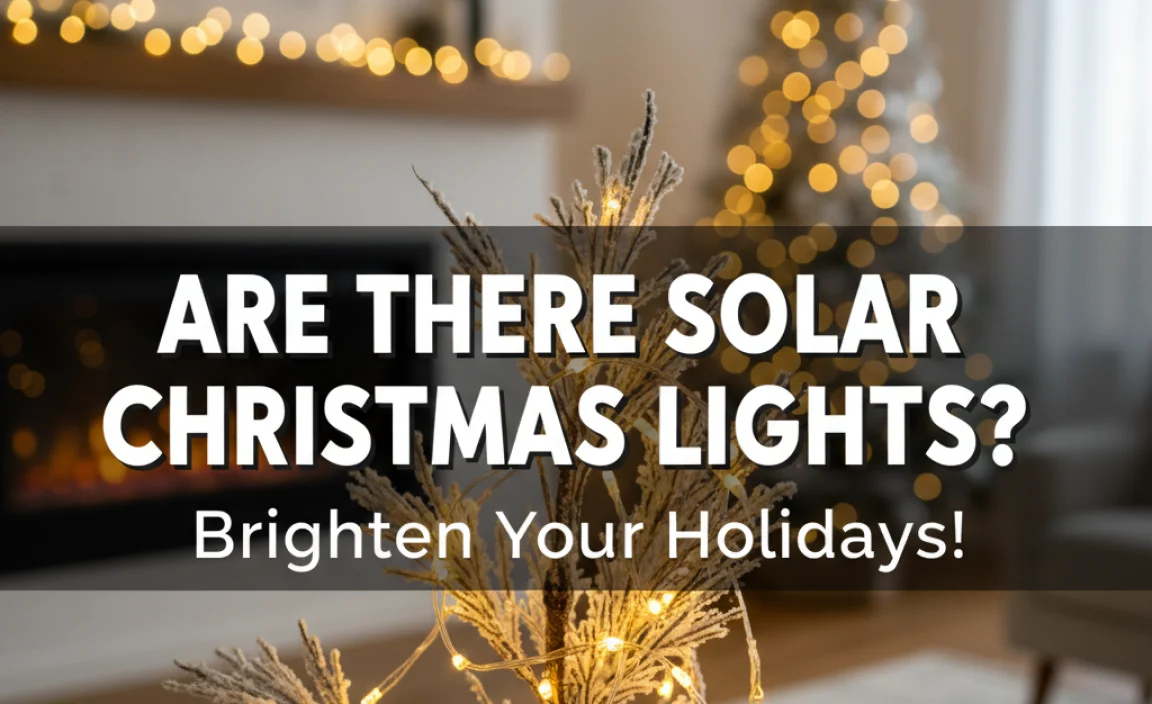 Are There Solar Christmas Lights? Brighten Your Holidays!