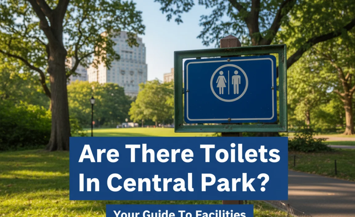 Are There Toilets in Central Park?