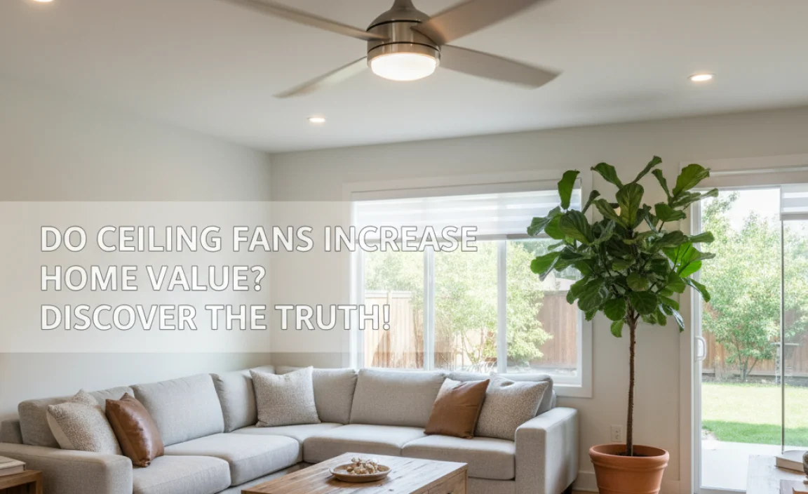 Ceiling Fans as a Functional Home Feature
