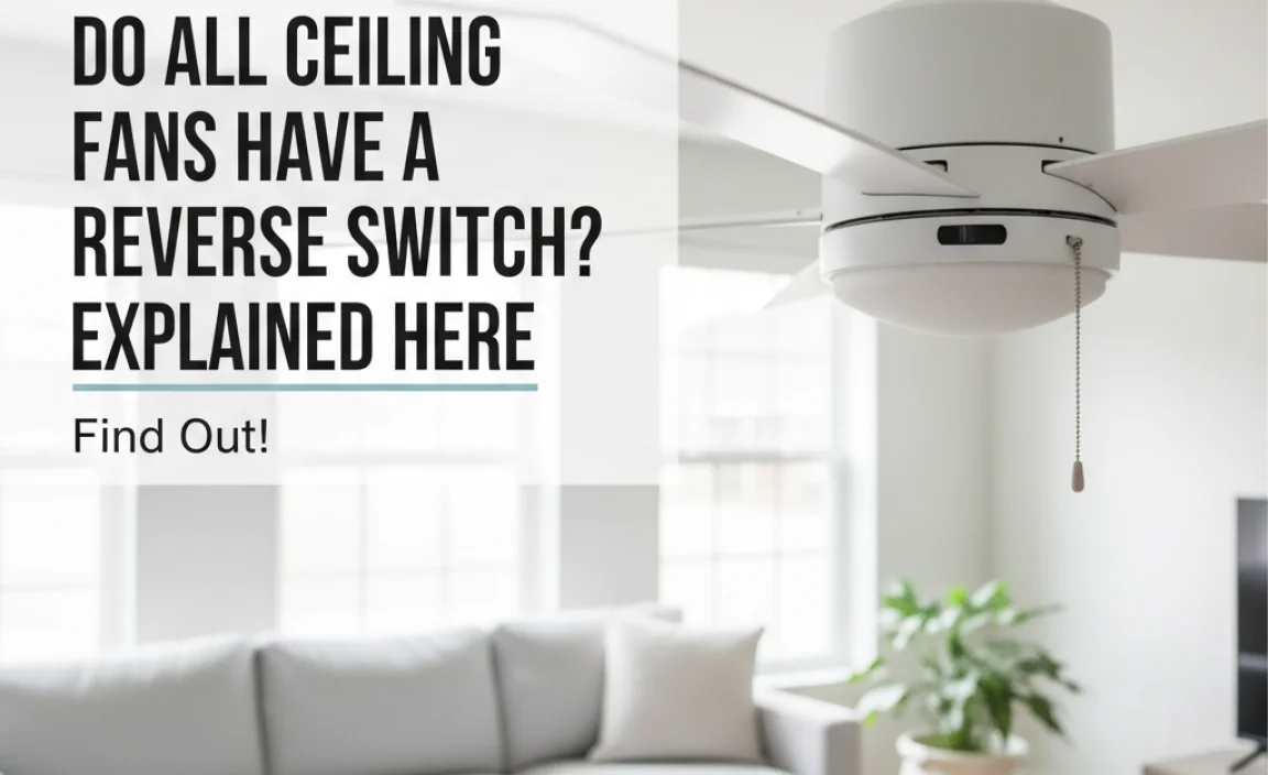 Do All Ceiling Fans Have A Reverse Switch? Explained Here
