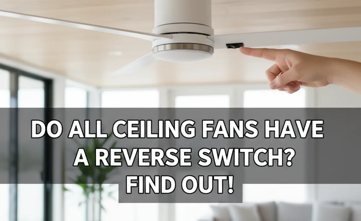 Do All Ceiling Fans Have A Reverse Switch? Find Out!