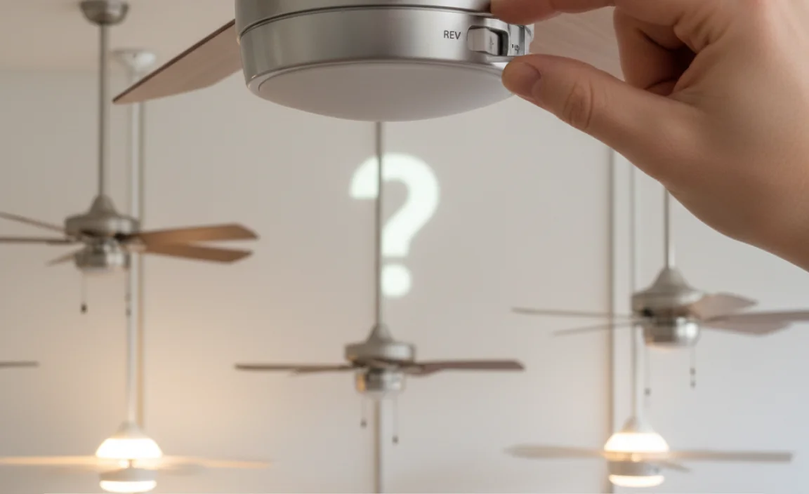Do All Ceiling Fans Have a Reverse Switch?