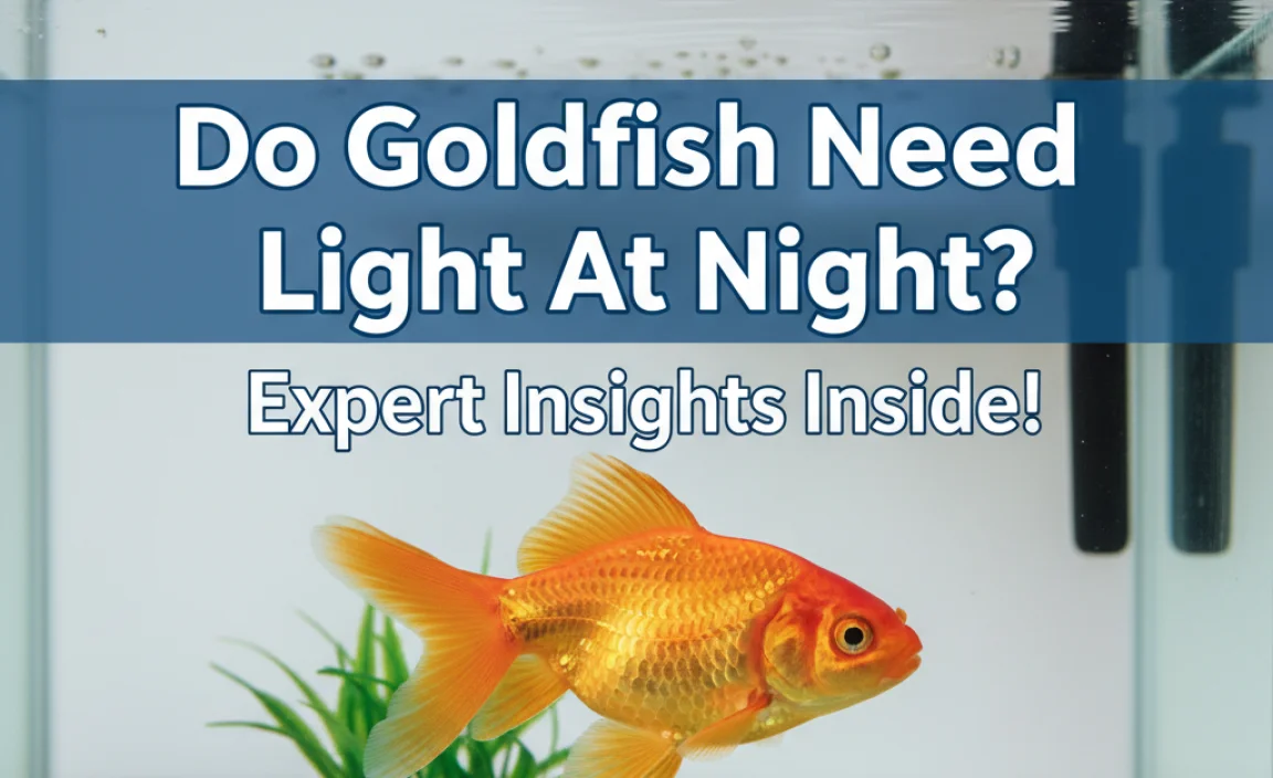 Do Goldfish Need Light At Night? Expert Insights Inside!