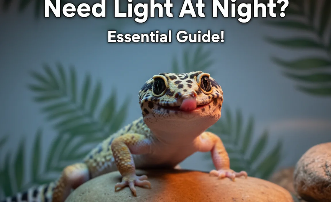 Do Leopard Geckos Need Light At Night? Essential Guide!