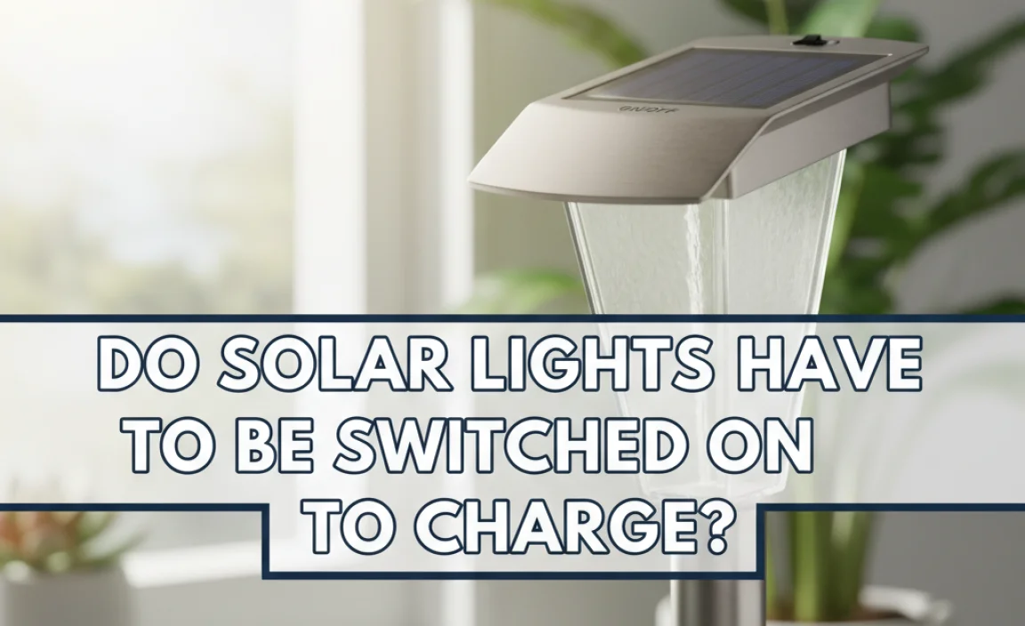 Do Solar Lights Have To Be Switched On To Charge?